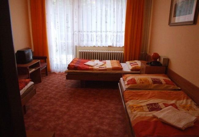 Hotel Petr Bezruc Frýdlant nad Ostravicí Szoba fotó